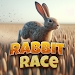 兔子竞赛(Rabbit Race)