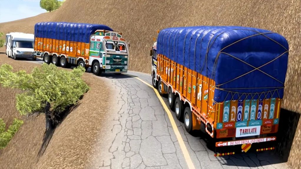 印度卡车货物运输.jpg