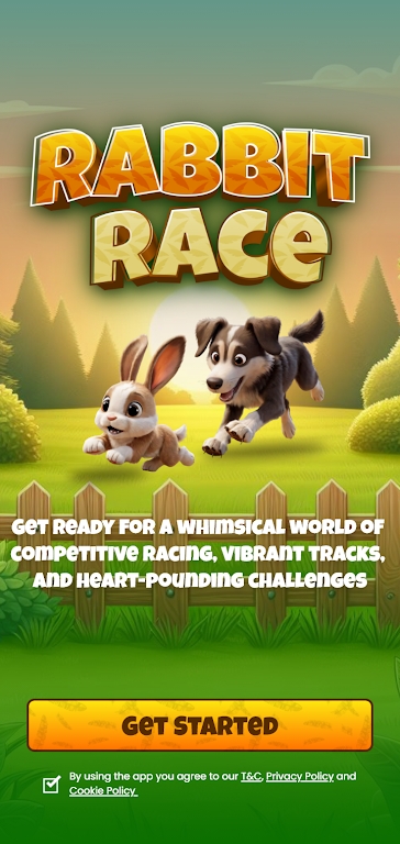 兔子竞赛(Rabbit Race).jpg